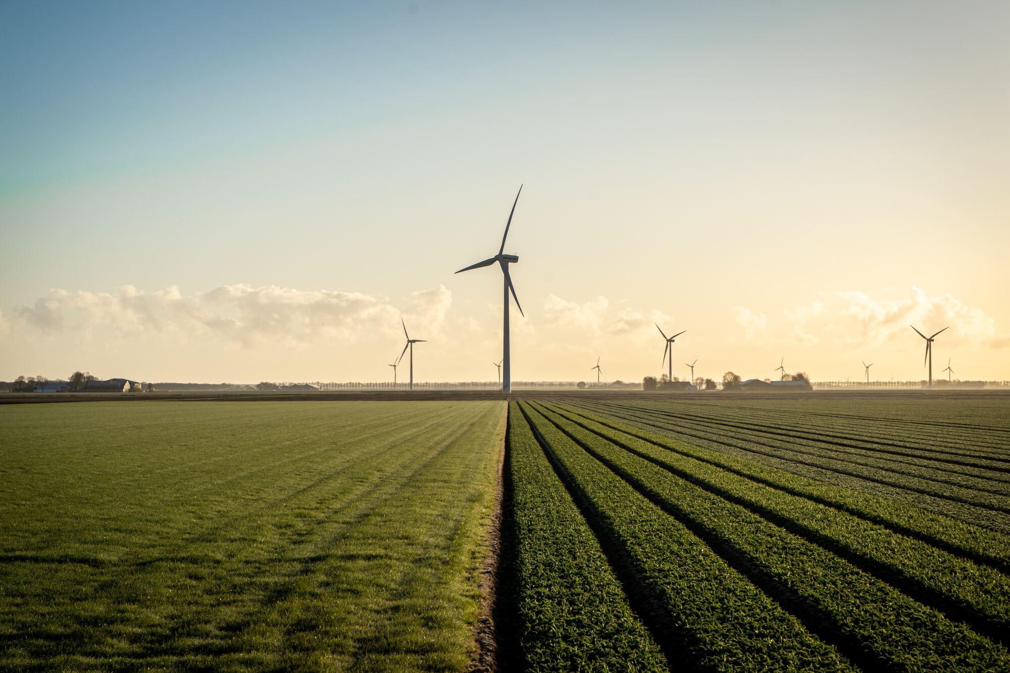 Hübriidpargid – energeetika järgmine suur trend